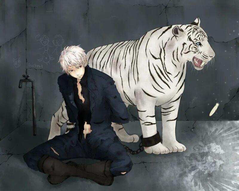 Белый тигр аниме 11