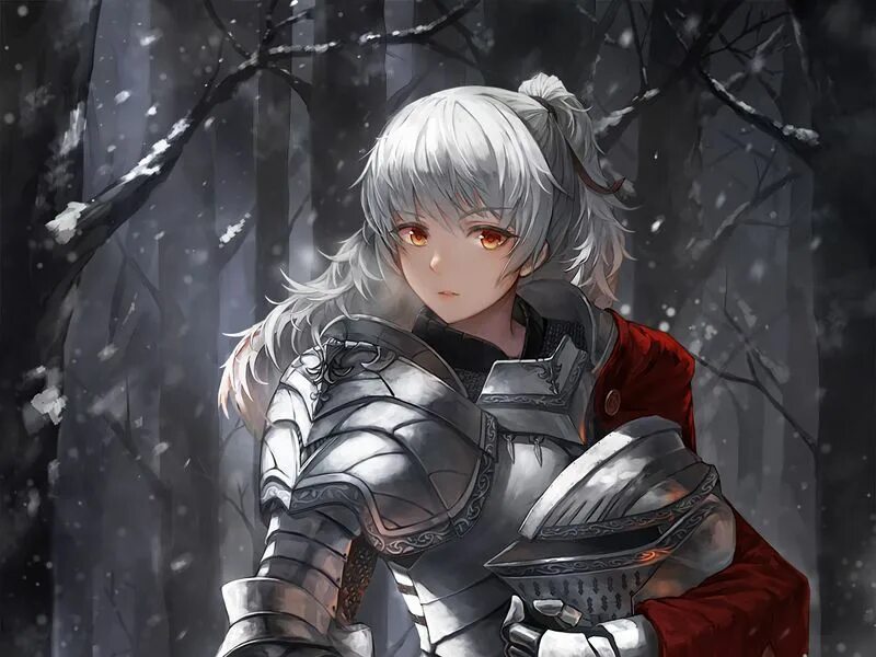 Девушка рыцарь с белыми волосами 14