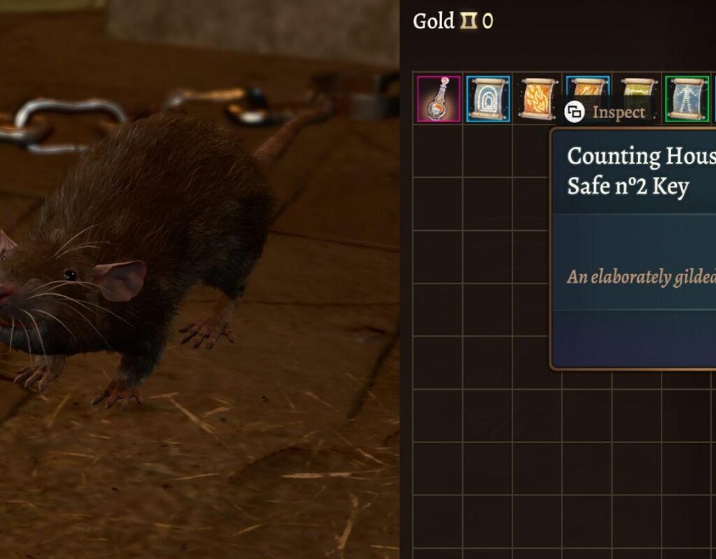 Baldur’s Gate 3 Где найти Скиттл (секретного крысиного торговца)